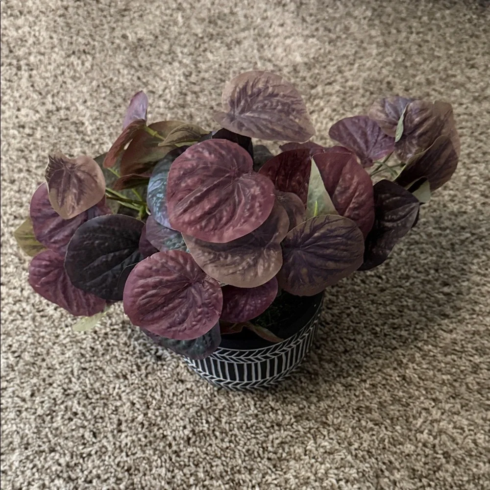 Home Decor Bundle
